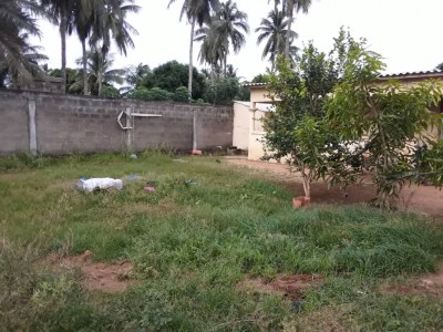 Terrain 1 lot 1/4  avec 5 chambres de location+ titre foncier