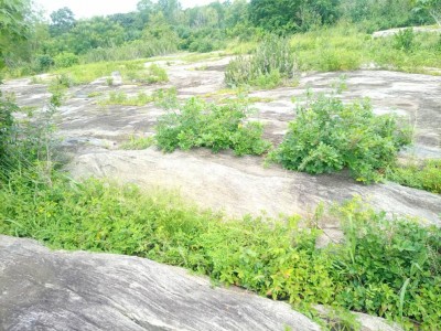 1 HECTARE de Granite avec titre foncier