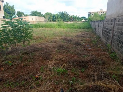 1 lot cloturé avec titre foncier à 280m du goudron