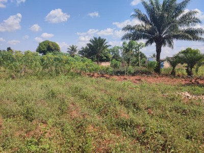15 lots collés avec titre foncier global à 400m du goudron