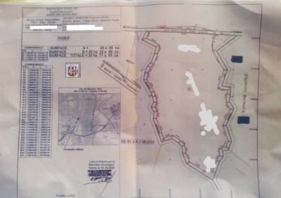 35 hectares collés avec 1 tampon otr au bord de la national