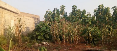 8 lots collés avec titre foncier à 1.5km du goudron