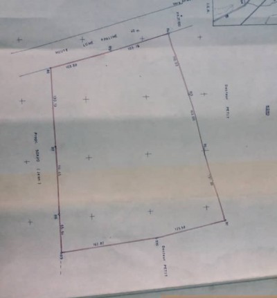 8 hectares au bord du goudron avec droit de propriété