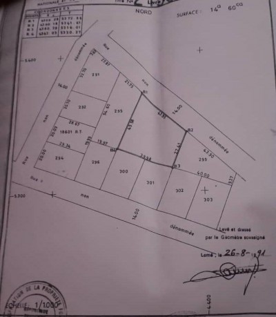 1 lot 1/4 cloturé avec titre foncier à 300m du goudron