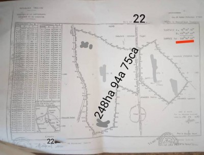 248 hactares avec titre foncier au bord du goudron (