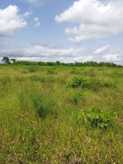 3600 hectares avec 3 tampons à 8km du goudron N1