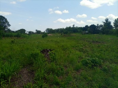 25 hectares avec titre foncier à 25km du goudron n1