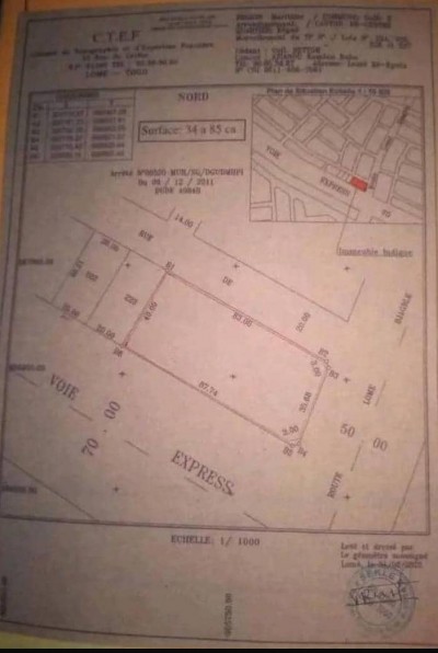 5 lots 3/4 collés avec titre foncier en cours au bord du goudron