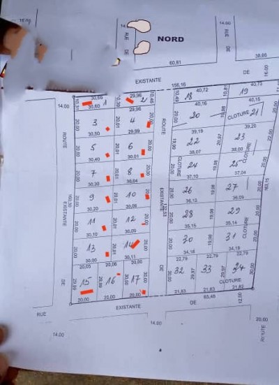 1 hectare et démi ( 16 lots collés ) avec titre foncier coté plage