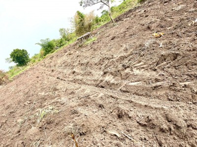 22 hectares avec titre foncier à 12km du goudron