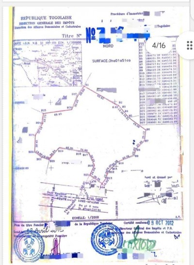 3 hectares lotis ( soit 30 lots ) collés avec titre foncier