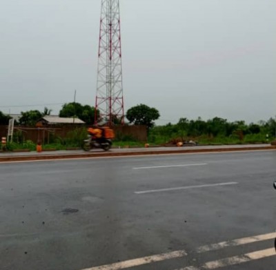 4 lots collés avec titre foncier au bord du goudron