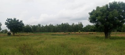 7 hectares avec titre foncier à 800m du goudron