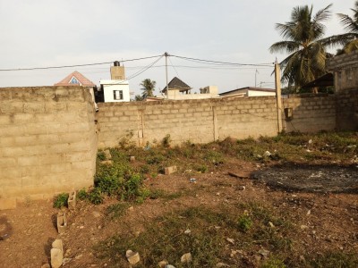 1 lot avec plan simple +mandat