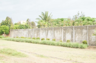 3 lots collés cloturés sur 3 voies avec ttitre  foncier