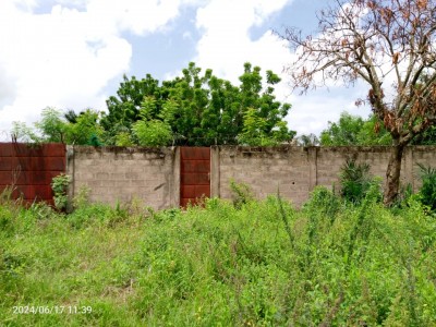 2 lots 1/4 collés cloturés avec titre foncier