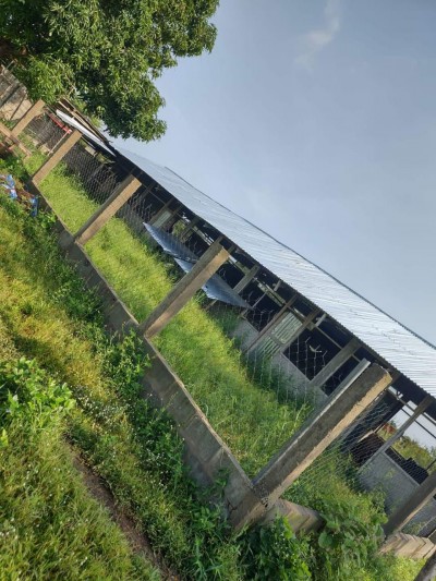 ferme de 25 hectares avec titre foncier à 5km du goudron