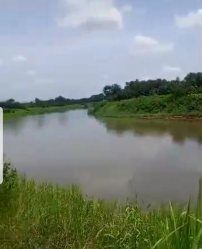 150 hectares avec plan+droit de propriété à 5km du goudron