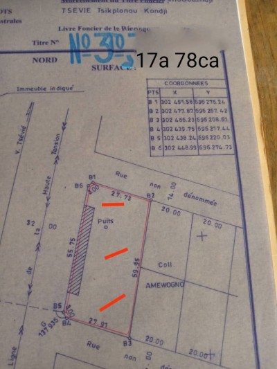 3 lots collés avec titre foncier au bord du goudron rn1