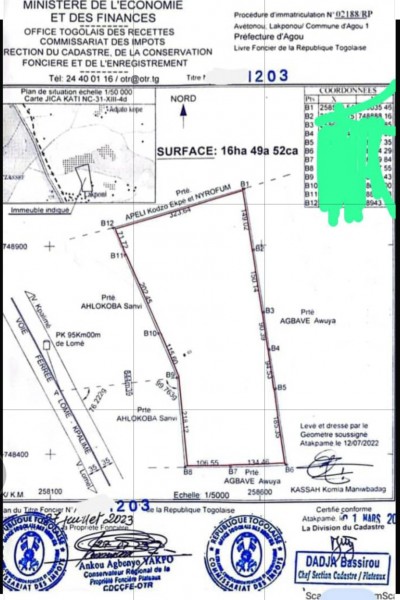 16 hectares avec titre foncier au bord de la grande route