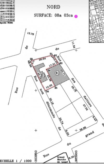 1 lot et démi + immeuble au grand marché assigamé