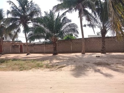 2 lots collés cloturés avec titre foncier