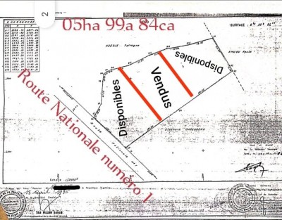 46 lots collés avec titre foncier au bord du goudron