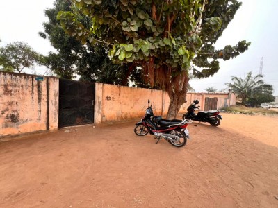 3 lots et démi collés cloturés avec titre foncier