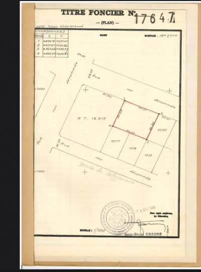 1 lot avec titre foncier à 30m du goudron