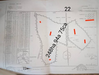 248 hectares avec titre foncier à 8km du goudron