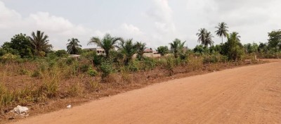 24 lots collés avec titre foncier à 200m du goudron