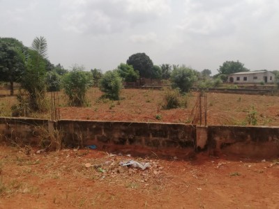 2 lots collés avec titre foncier en cours au bord du goudron