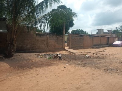1 lot cloturé avec titre foncier en cours à 650m du goudron