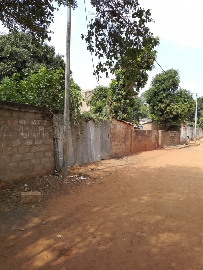 2 lots collés cloturés avec titre foncier
