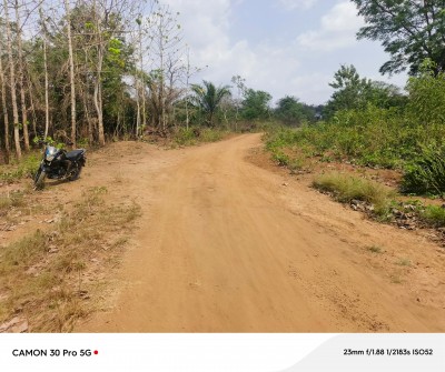 11.50 hectares broisés de teck avec titre foncier en cours