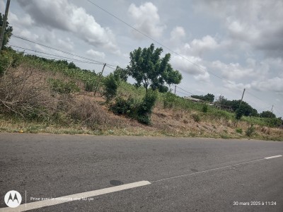 21 hectares déja lotis avec titre foncier au bord du goudron