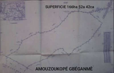 166 hectares avec titre foncier à 15km du goudron lomé-kpalimé