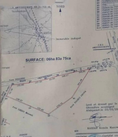 7 hectares avec titre foncier à 1km du goudron nationale 5