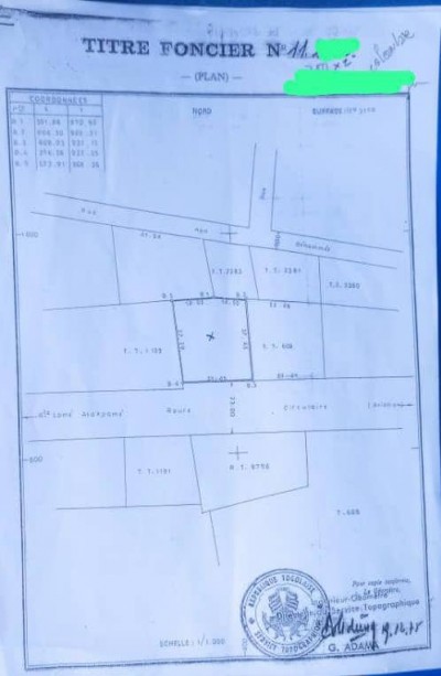 2 lots collés avec titre foncier au bord du goudron
