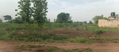 30 lots collés avec titre foncier à 900m du goudron