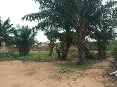1 lot avec réçu de vente + mandat notariat à 400m du goudron