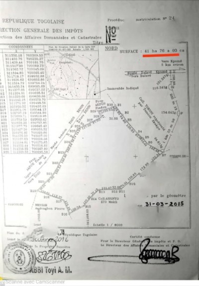 41 hectares collés avec titre foncier au bord du goudron