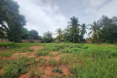 2 lots collés cloturés avec titre foncier à 200m du goudron