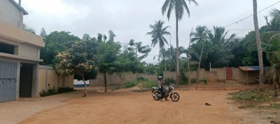 1 lot avec titre foncier à 400m du goudron