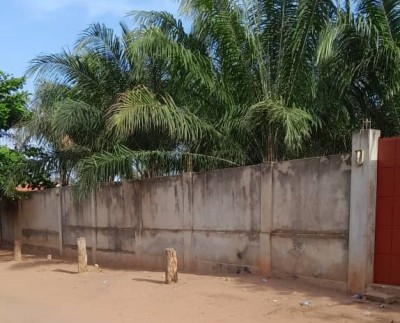 3 lots collés cloturés avec titre foncier + construction