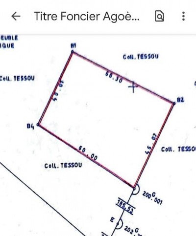 4 lots 1/4 collés cloturés avec titre foncier à 200m du goudron