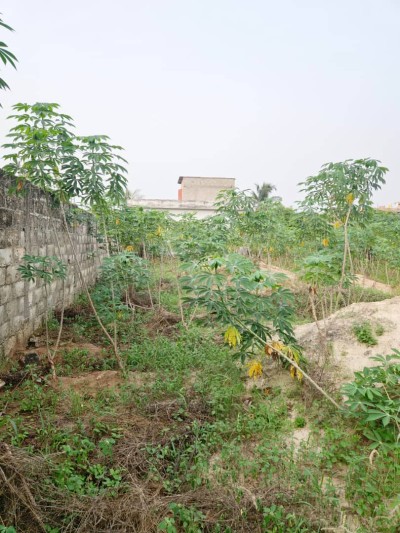 1 lot cloturé avec titre foncier en cours à 350m de la grande voie