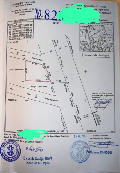 2 lots collés avec titre foncier au bord du goudron zone pia