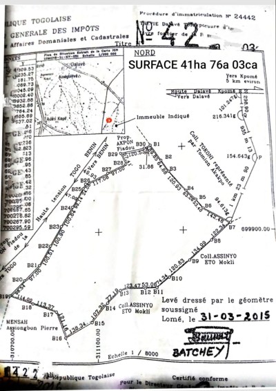 36 hectares collés avec titre foncier à 100m du goudron