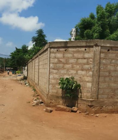 2 lots collés cloturés avec titre foncier à coté de tv2